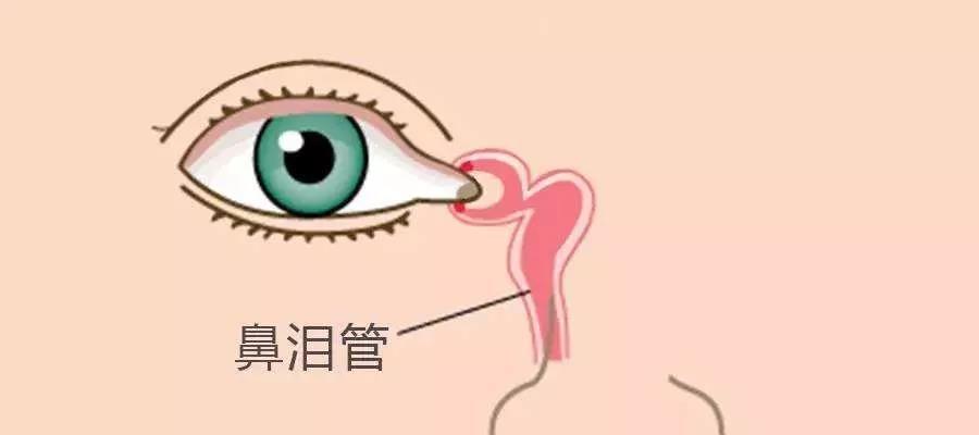 为什么会打哈欠流眼泪？（探索哈欠和眼泪之间的神秘联系）