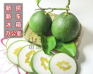 柚子皮可以去除甲醛吗？（探究柚子皮去除甲醛的效果及方法）