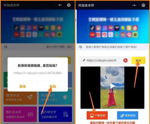 小视频水印去除方法大揭秘（简单教你如何快速去除小视频水印）