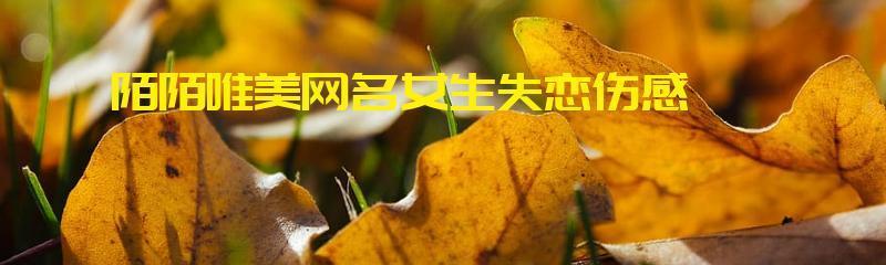 失恋困扰（情伤的治愈之路与秘诀）