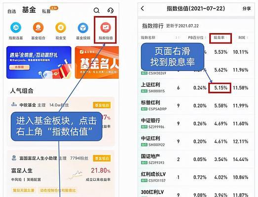 如何选取指标评估基金的优劣（揭秘基金选取中的关键指标和方法）