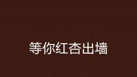 以红杏出墙的含义及其现实意义（社会现象与道德观念的冲突与转变）