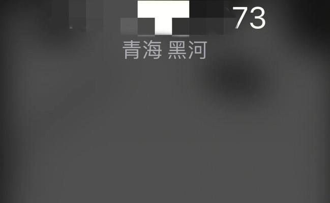 拒接iPhone来电的方法大全（有效应对iPhone来电的拒接技巧，让你轻松摆脱电话骚扰）