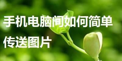 电脑文件删除恢复技巧大揭秘（从删除到找回，让你的文件再次出现在电脑中）