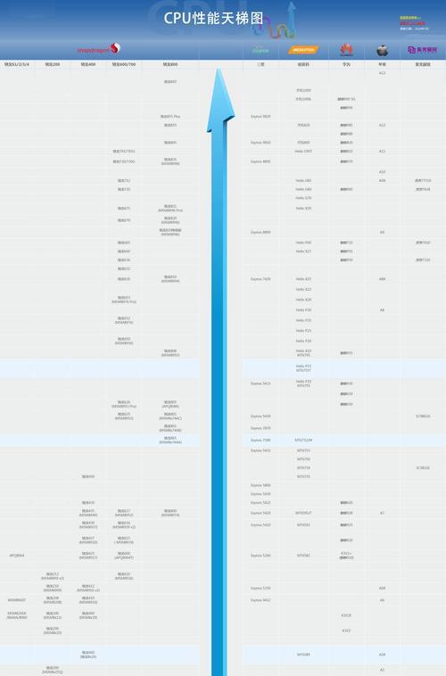 如何有效利用CPU和显卡性能天梯图查看方法（一键掌握CPU和显卡性能对比，加速选购装机利器）