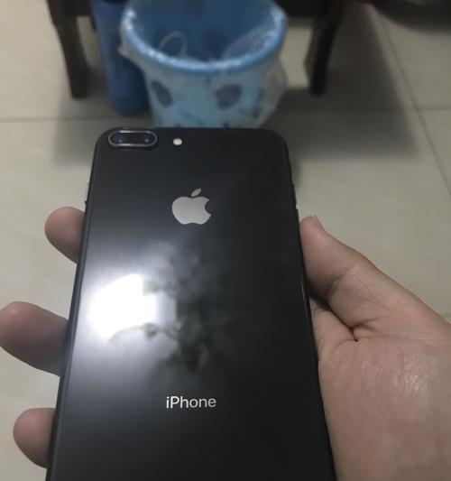 如何准确鉴别iPhone手机型号（掌握iPhone手机型号鉴别技巧，轻松辨别真伪）