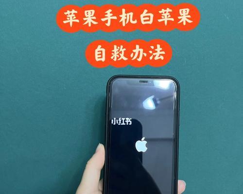 解决iPhone充电问题的技巧（如何解决iPhone无法充电的问题）