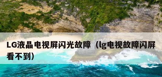 电视机半个黑屏的解决方法（如何修复电视机上出现的半个黑屏问题）