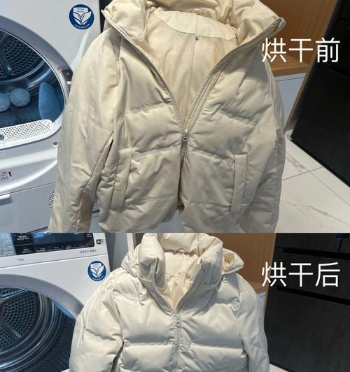 如何正确使用立式洗衣机清洗羽绒服（一步步教你清洗羽绒服的正确方法）