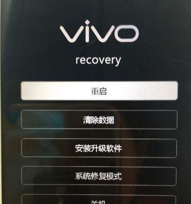 忘记vivo帐号密码怎么办（解决vivo帐号密码忘记的几种方法）