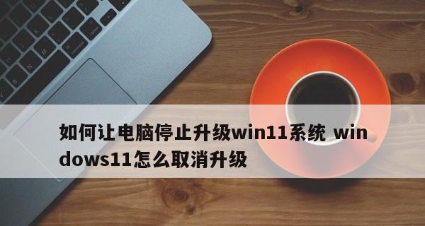 如何取消Win11开机密码（简单教程帮助你取消Win11开机密码）