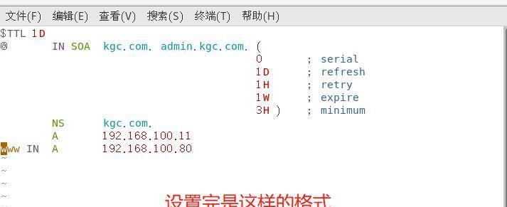 深入了解域名系统DNS（域名系统DNS的工作原理及应用）