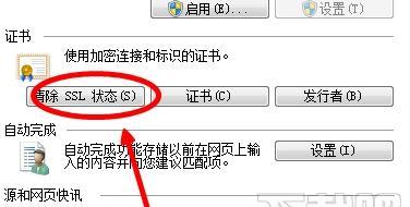 如何解决网页错误详细信息的问题（掌握网页错误详细信息的处理技巧）