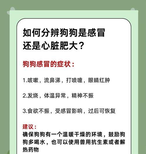 狗狗吹空调是否容易感冒（为您解答狗狗在吹空调下是否容易感冒的疑惑）